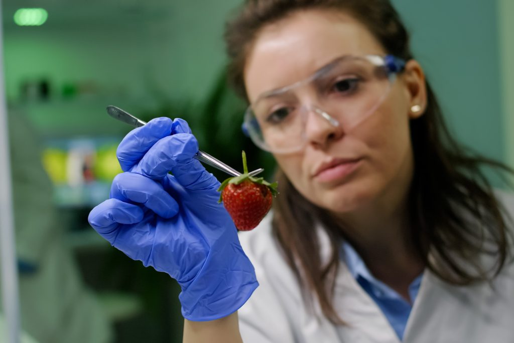 étude d'une fraise